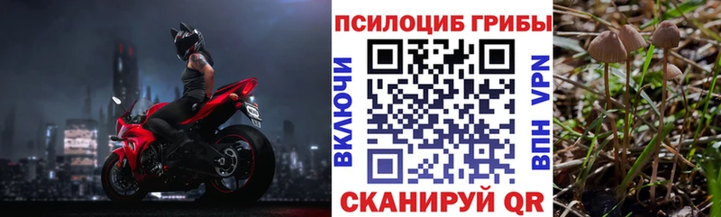 Псилоцибиновые грибы прущие грибы  дарнет шоп  Юрьев-Польский 
